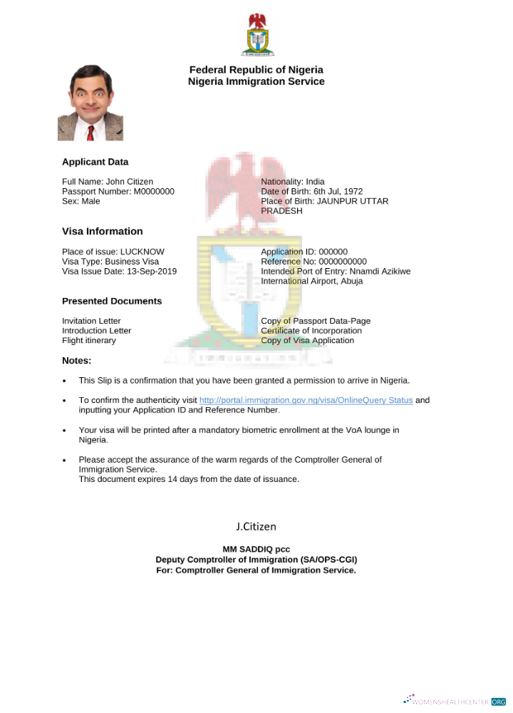 Download Nigeria e visa in Word and PDF template Photoshop template